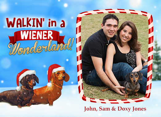 Fun Add Your Photo Christmas Cards and Flats Put a picture of your Wiener on this Christmas Card! | wiener dachshund funny lol photo add shutterbug dog puppy silly cute pet pug dox weiner