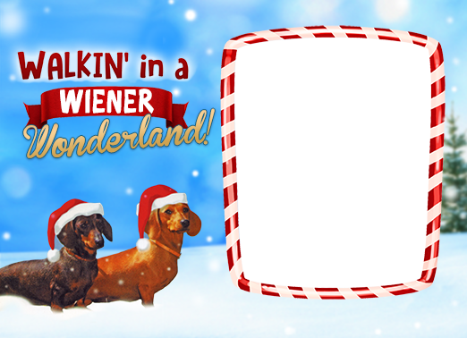 A Wiener Wonderland Christmas Ecard Cover