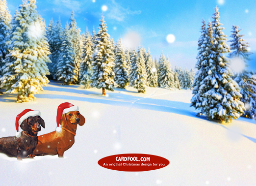 A Wiener Wonderland Christmas Ecard Inside