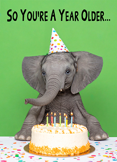 Age is Irrelephant Birthday Card Cover