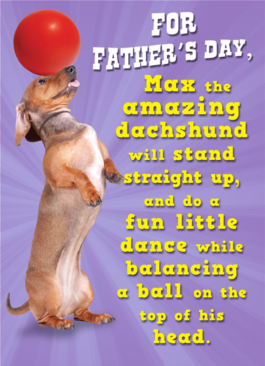 Amazing Dachshund  Ecard Cover