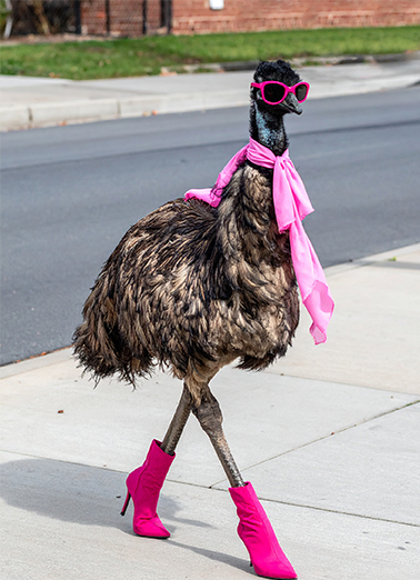 Amazing Mom Mother's Day Ecard Cover