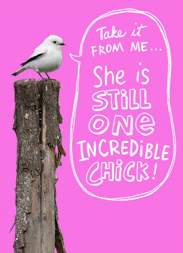 Awesome Chick Birthday Ecard Cover