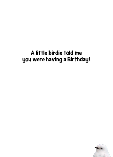 Awesome Chick Birthday Ecard Inside