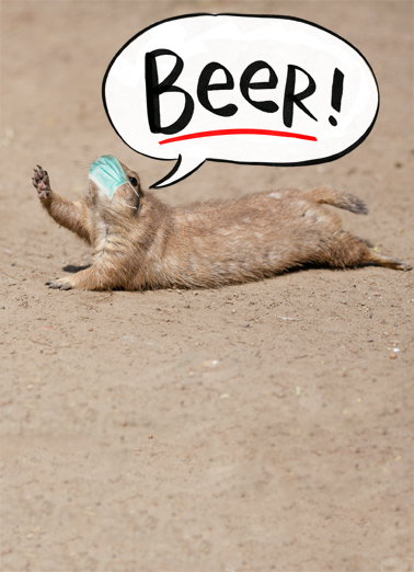 BEER Cute Animals Ecard Cover