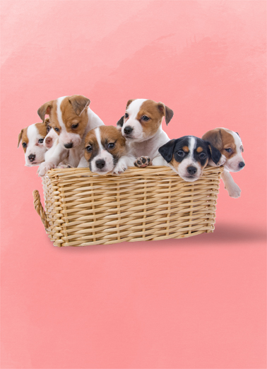 Basket Full Of Puppies Dogs Card Cover