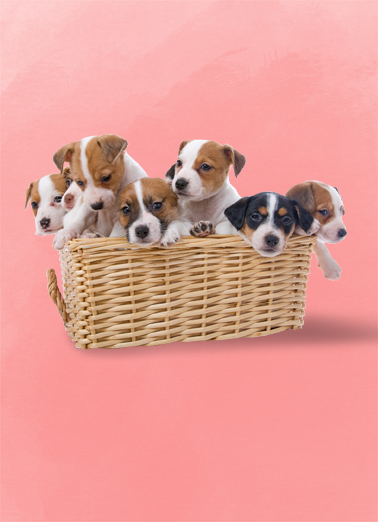 Basket Full Of Puppies Thinking of You Card Cover