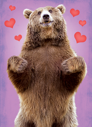 Bear Hug Val Funny Animals Card Cover