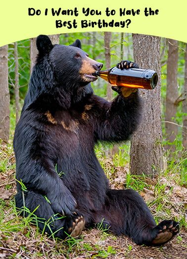 Bear Sip Birthday Ecard Cover