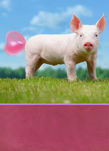 Big Blowout VAL Valentine's Day Card Cover