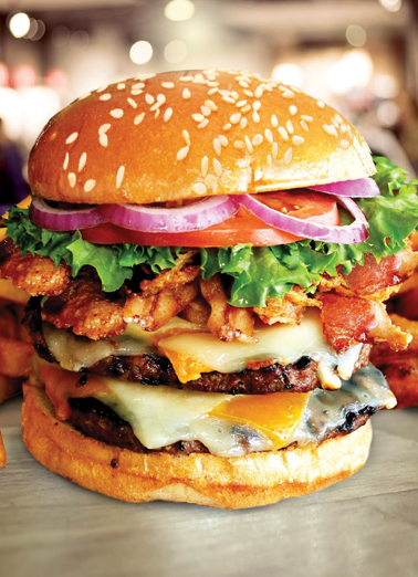Big Burger FD  Card Cover
