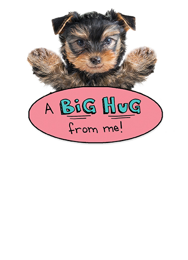 Big Hug md Cute Animals Ecard Inside