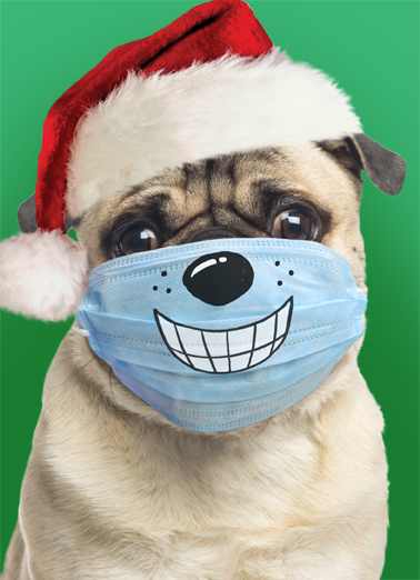 Big Smiles XMAS From the Dog Ecard Cover