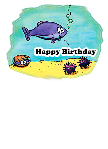 Birthday Cod  Card Cover