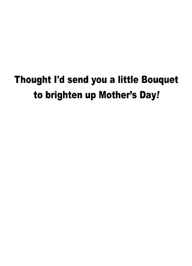 Bouquet Hunk MD For Any Mom Ecard Inside