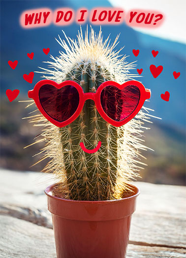 Cactus Hearts Prickly Valentine's Day Card Cover
