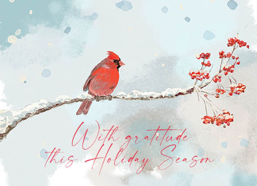 Cardinal on Branch Christmas Ecard Cover