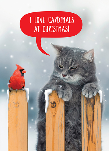 Cardinals at Christmas From the Cat Card Cover