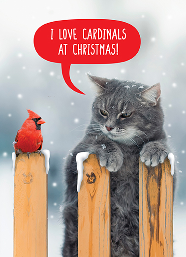 Cardinals at Christmas  Ecard Cover