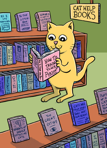 Cat Books Birthday Card Cover