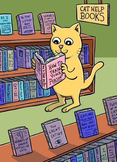 Cat Books From the Cat Ecard Cover