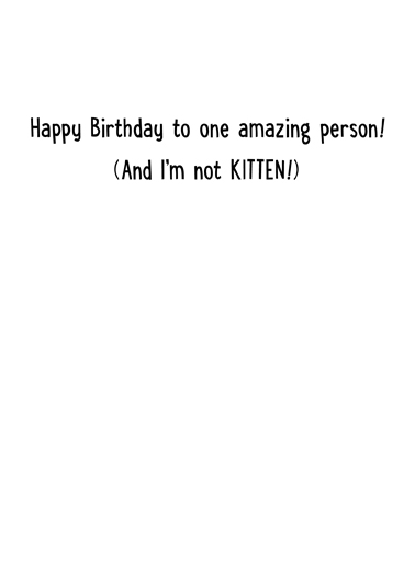 Cat Books Birthday Ecard Inside