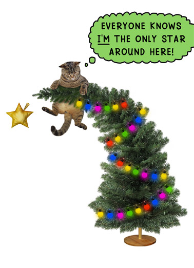 Cat Brightest Wishes Christmas Ecard Cover