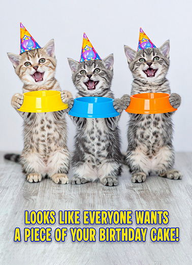 Cat Cake Bowl Funny Animals Card Cover