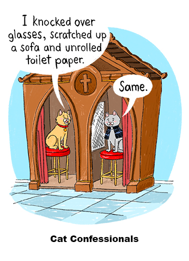 Cat Confession Cats Ecard Cover