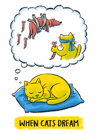 Cat Dreams Cats Card Cover