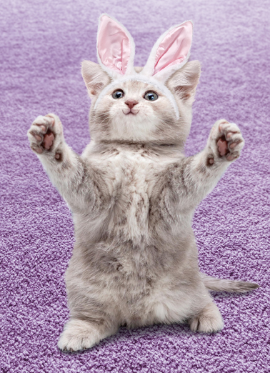 Cat Hug Easter Easter Ecard Cover