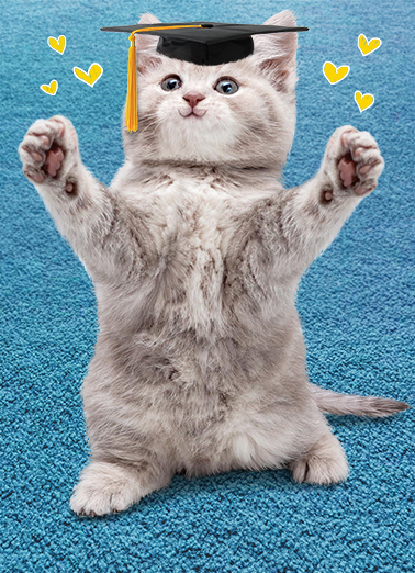 Cat Hug Grad Graduation Card Cover