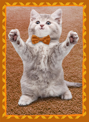 Cat Hug Thanksgiving Thanksgiving Ecard Cover