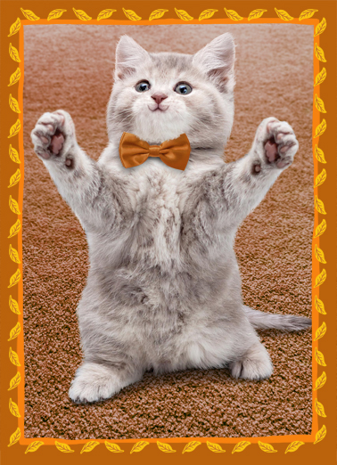 Cat Hug Thanksgiving  Ecard Cover