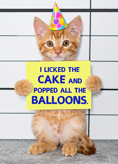 Cat Jail Birthday Lineup  Ecard Cover