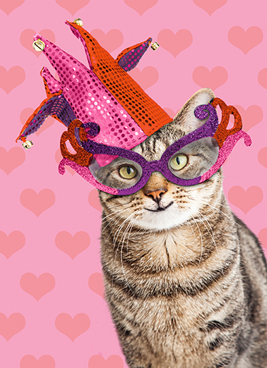 Cat Jester VAL Cute Animals Ecard Cover