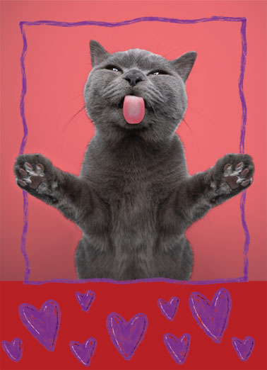 Cat Lick Val Cats Card Cover