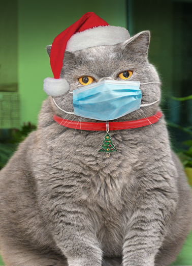 Cat Mask Xmas Christmas Card Cover