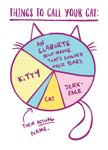 Cat Names For Anyone Ecard Cover