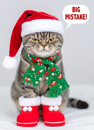 Cat No Photographer Santa - Funny Christmas Card to personalize and send.