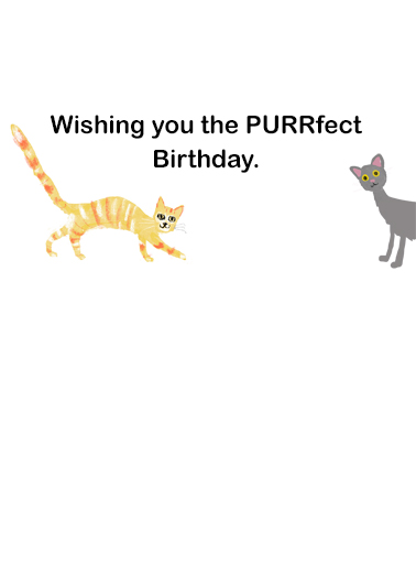 Cat People Birthday Ecard Inside