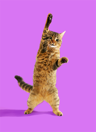 Cat Raise Paw Birthday Ecard Cover