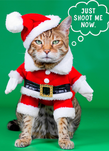 Cat Shoot Me - Funny Christmas Card to personalize and send.