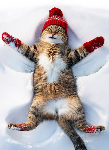 Cat Snow Angel Christmas Ecard Cover