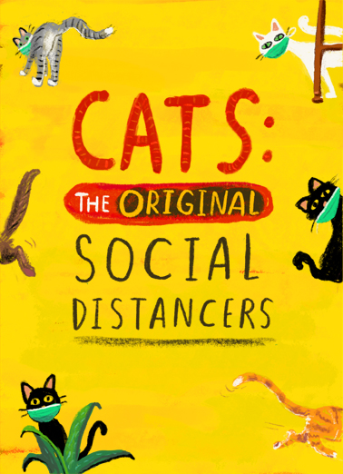 Cat Social Distance 5x7 greeting Card Cover