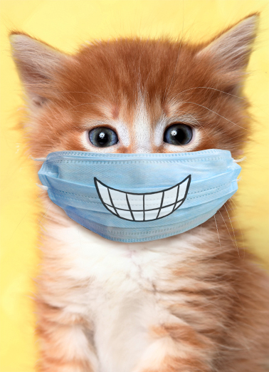 Cat Wearing Mask Everyday For Any Time Ecard Cover