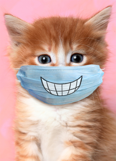 Cat Wearing Mask MD For Any Mom Card Cover