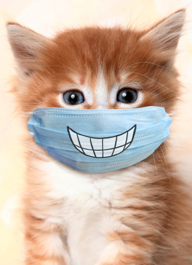 Cat Wearing Mask Quarantine Ecard Cover