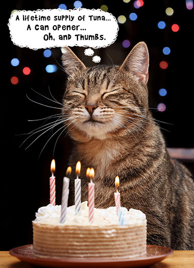 Cat Wish Cake Cats Ecard Cover