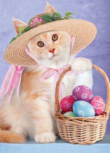 Cat With Basket Easter Card Cover